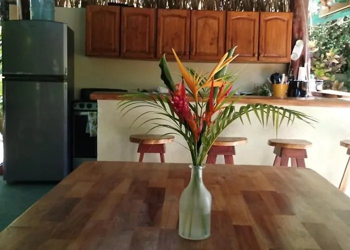Aloha Surf - Casa 'ohana Hébergement de vacances *