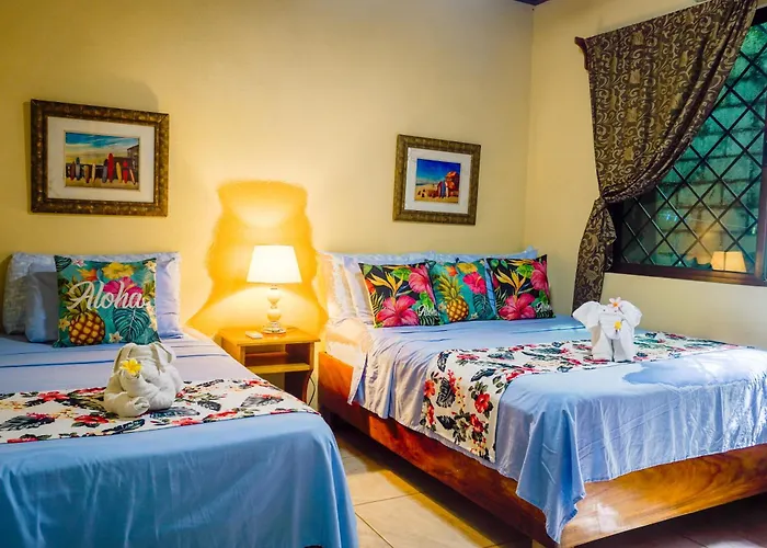 Hébergement de vacances Aloha Surf - Casa 'ohana *