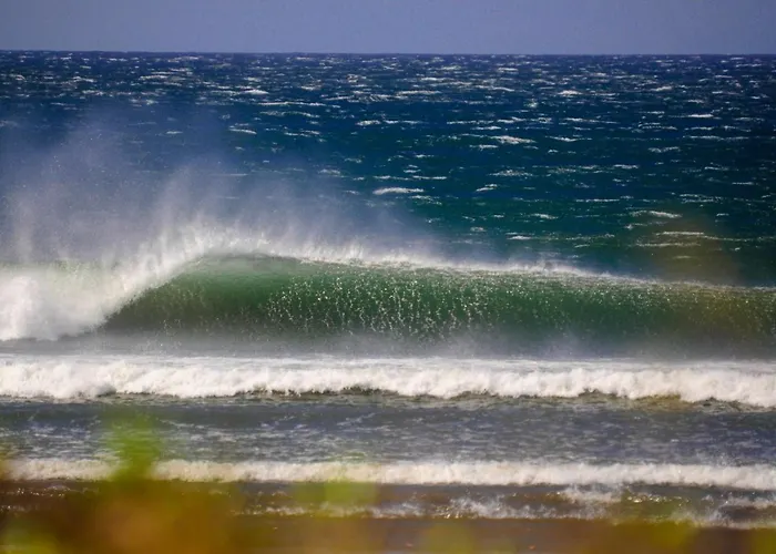 Aloha Surf - Casa 'ohana Hébergement de vacances