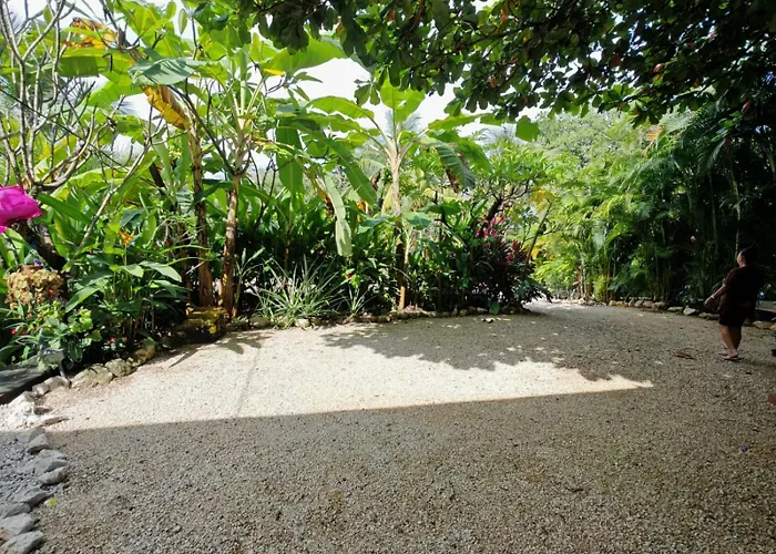 Hébergement de vacances Aloha Surf - Casa 'ohana *